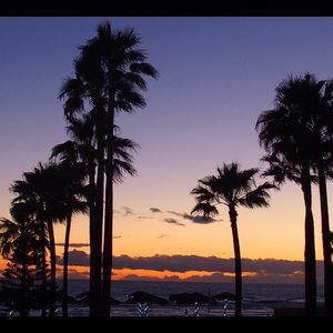 Meet your Posher, Dani